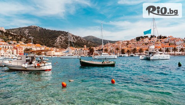 Далла Турс - thumb 1