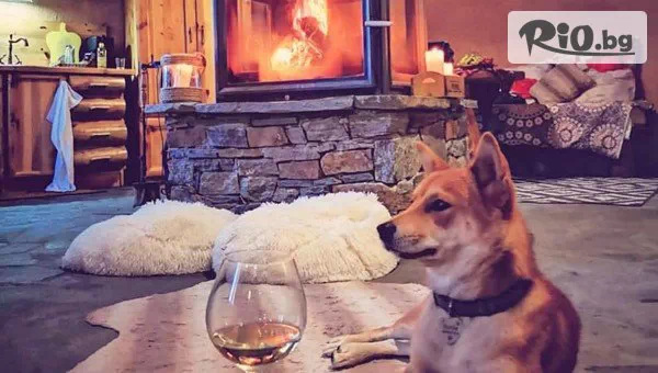 Еко къща Землянка - thumb 7