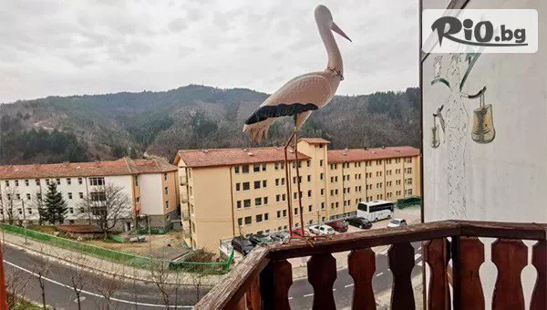 Семеен еко хотел Бялата къща - thumb 14