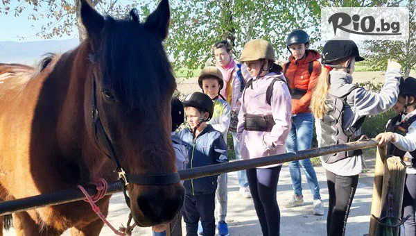 Конна база Тара - thumb 3