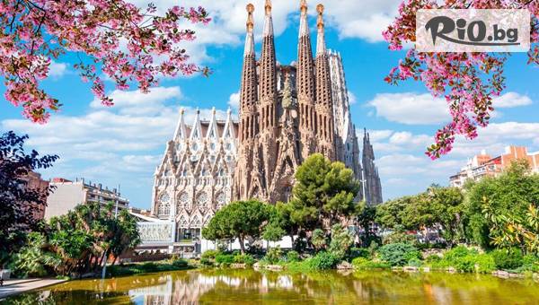 Солвекс - thumb 8