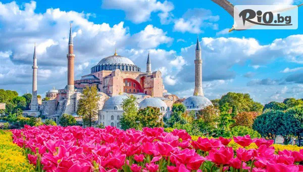 Екскурзия до Истанбул за Фестивала на Лалето! 3 нощувки и закуски + транспорт, посещение на Одрин и възможност за Принцовите острови