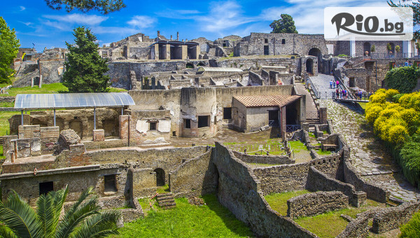 Премио Травел - thumb 7