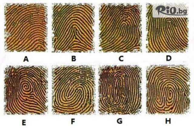 Служба по трудова медицина "Манус Вита" - thumb 4 Служба по трудова медицина "Манус Вита" - thumb 4